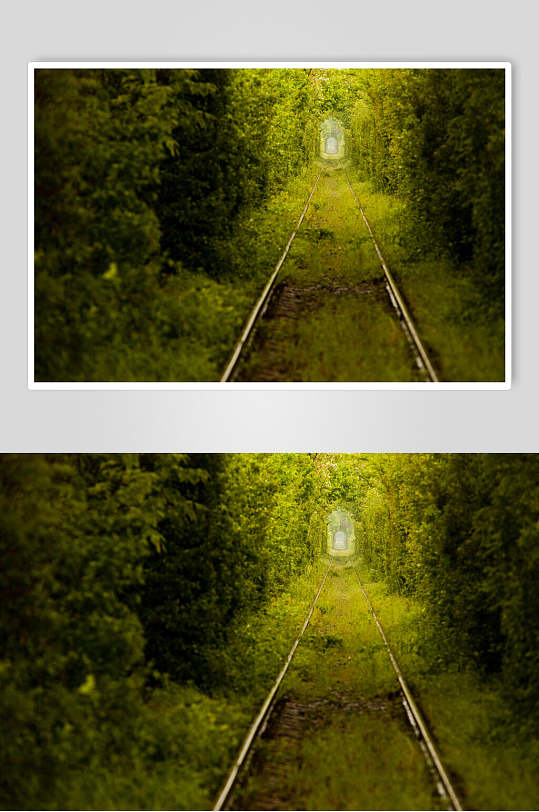 绿色绿色隧道公路马路高清图片