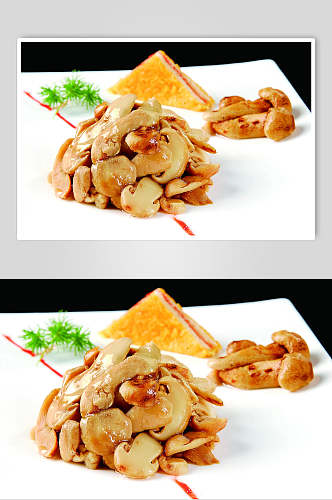 米香松茸菌食物摄影图片