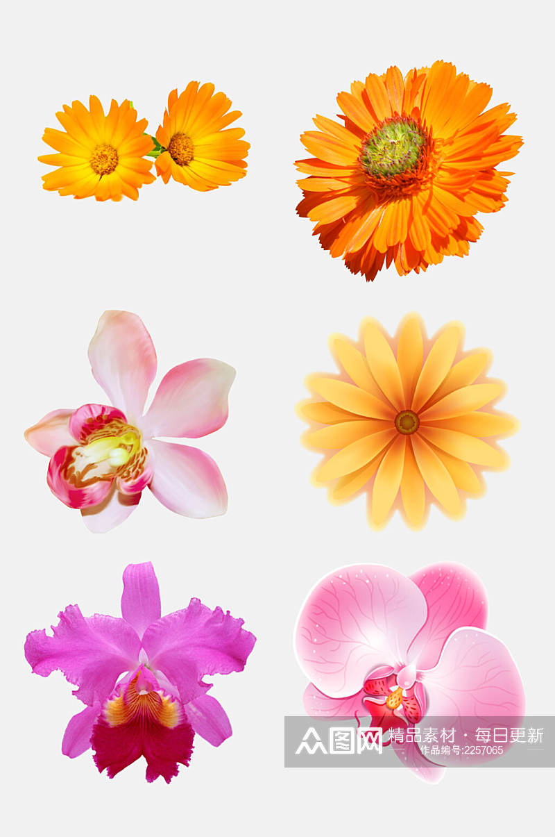 水彩唯美手绘花朵植物免抠素材素材