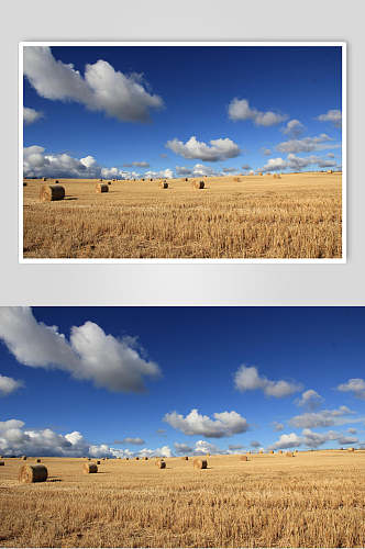 自然远景麦田草堆图片
