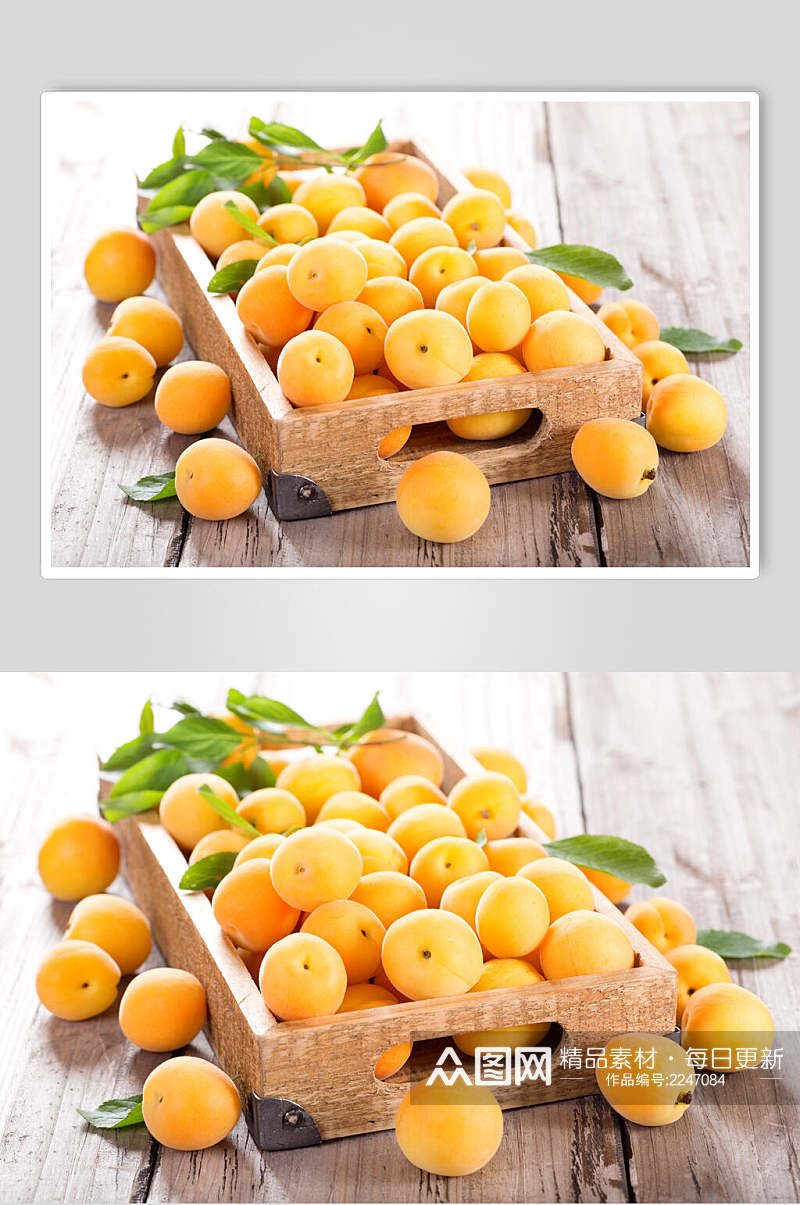 金黄枇杷水果食物摄影图片素材