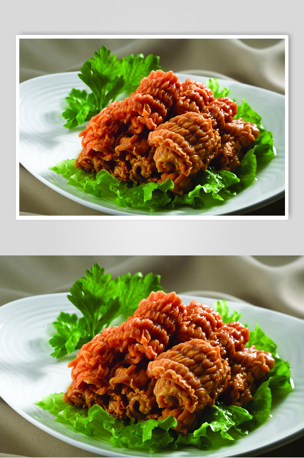 珊瑚蚌食物摄影图片素材