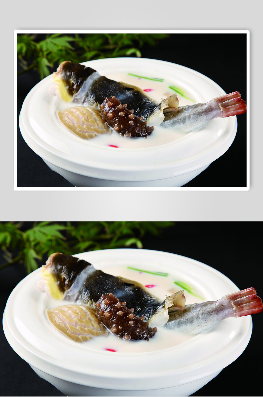 妙汤河豚食品图片素材