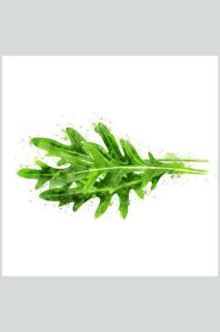 绿色茼蒿蔬果食品图片