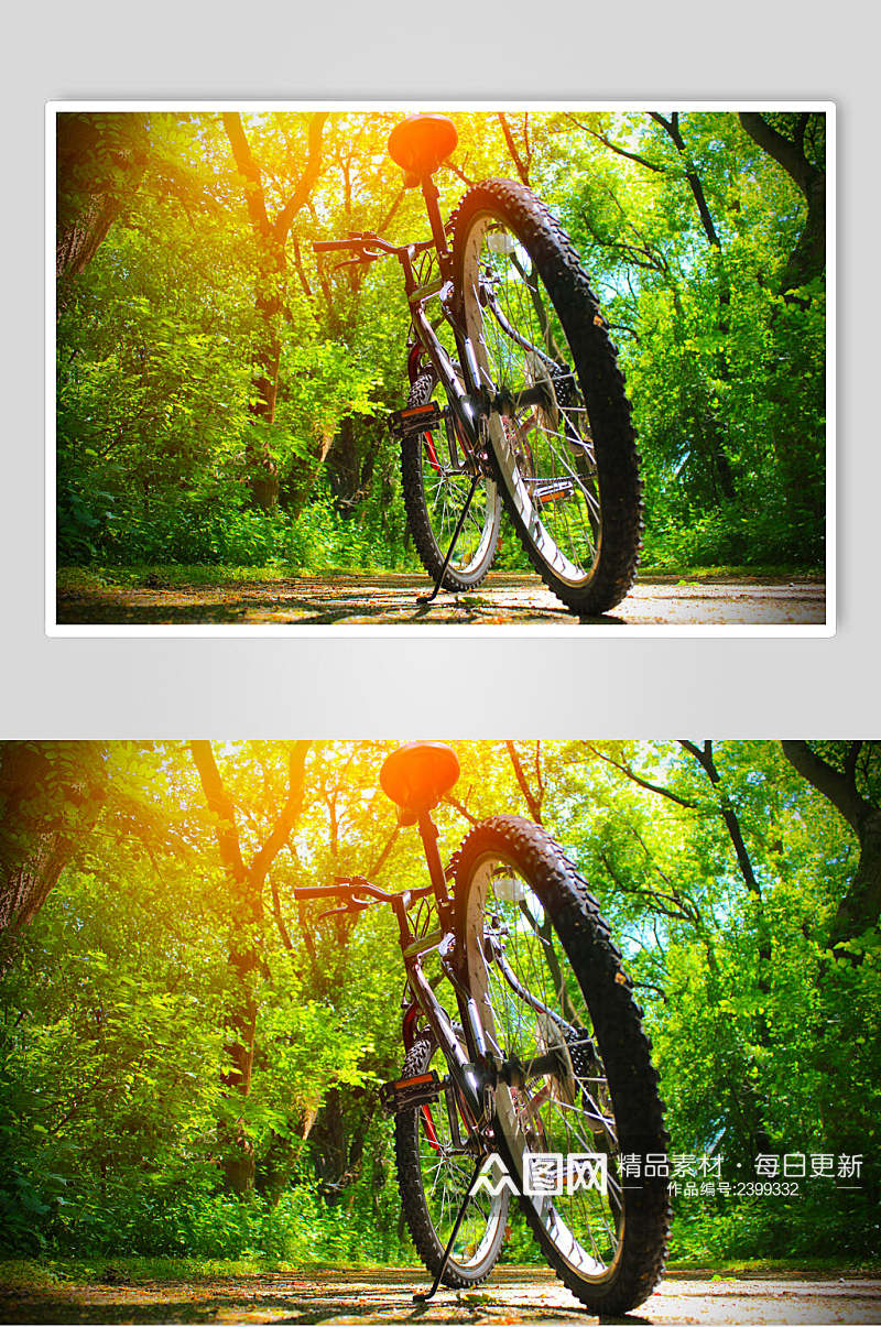 森林仰拍老旧自行车图片素材