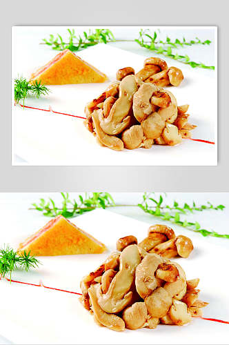 米香松茸菌食物摄影图片