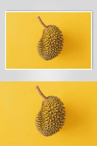 金黄榴莲水果图片