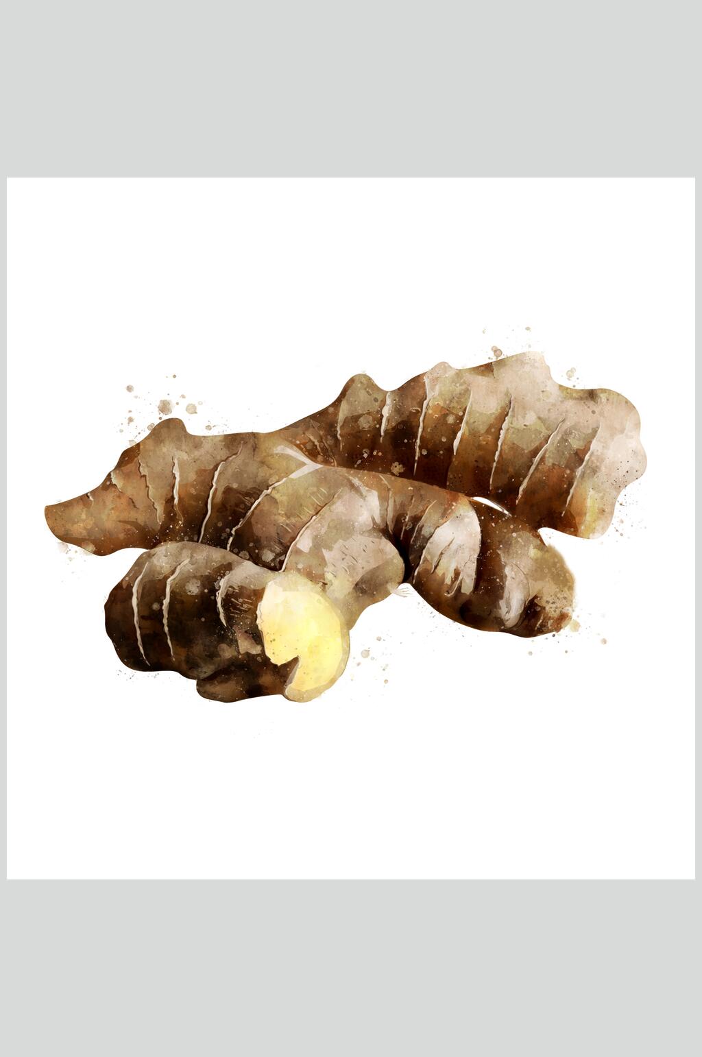 新鲜生姜蔬果食品图片素材