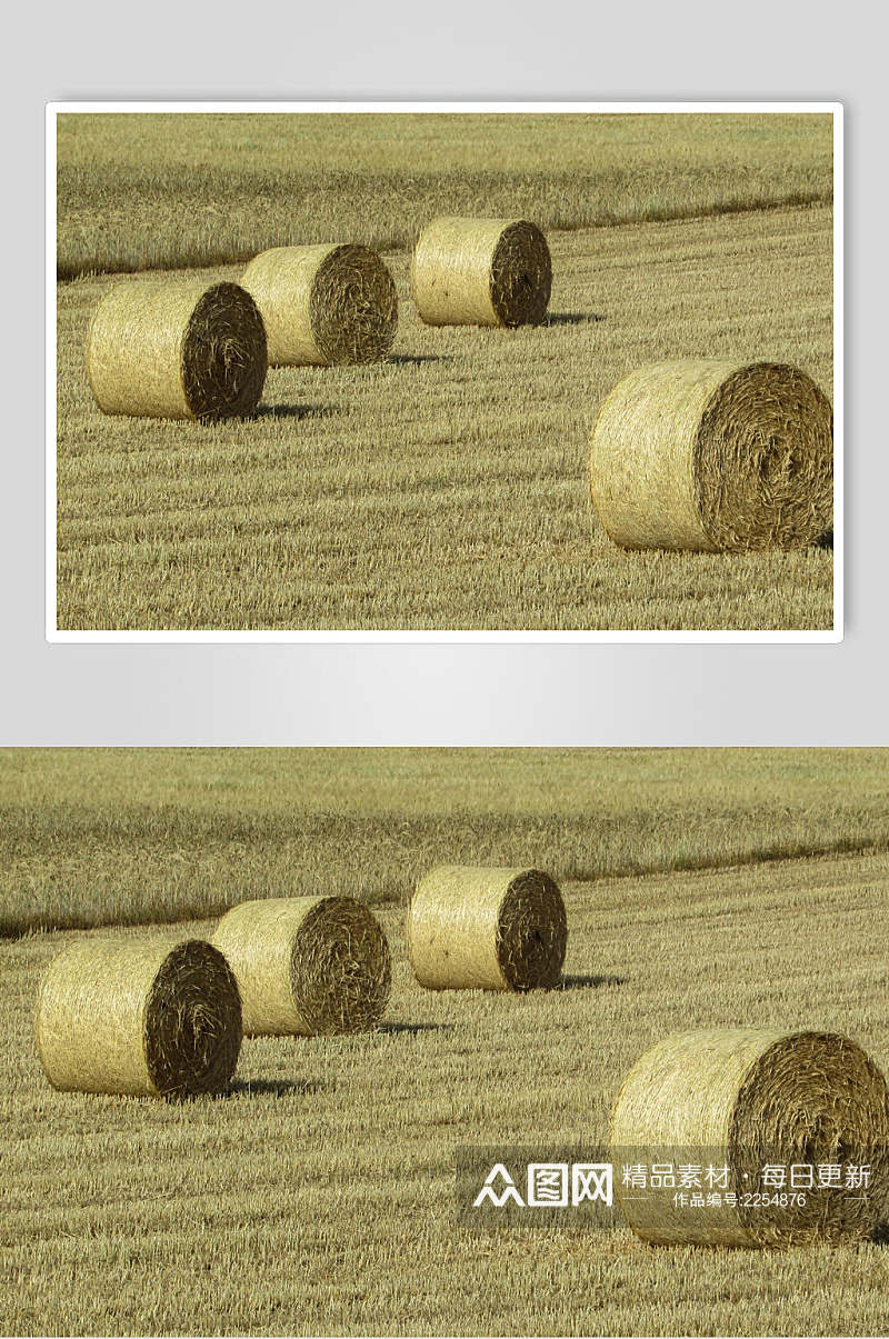简洁麦田草堆高清图片素材