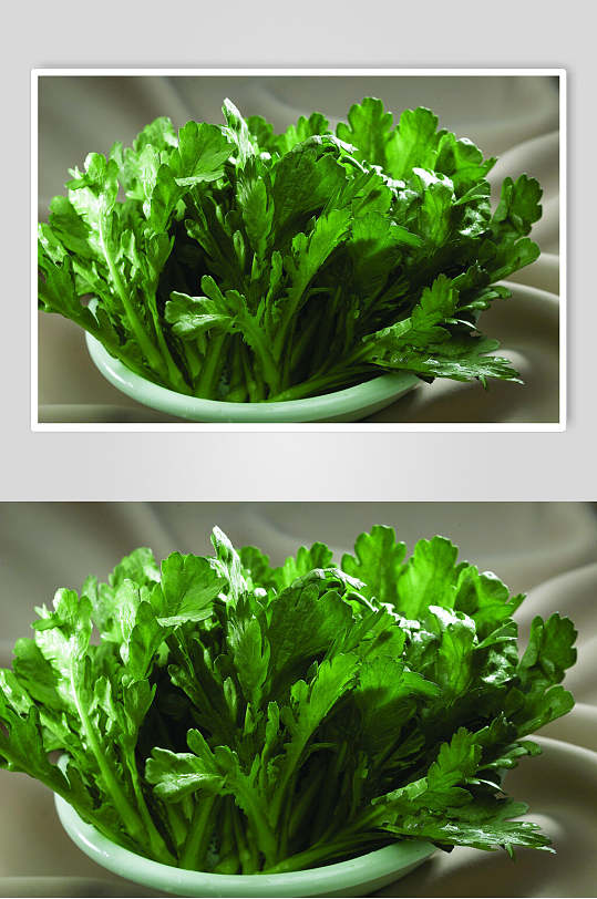 广东茼蒿食品图片