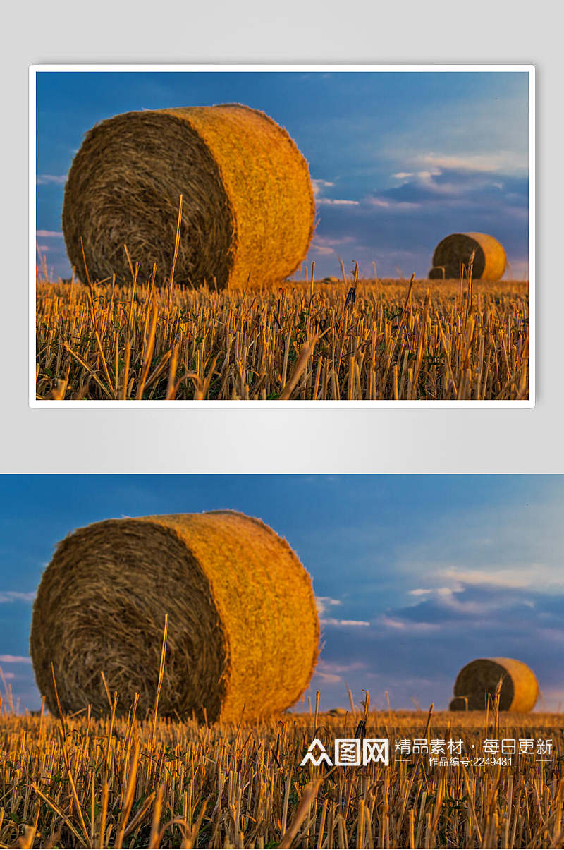 阳光麦田草堆高清图片素材