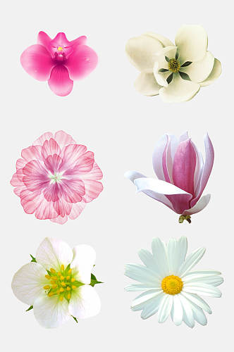 水彩唯美手绘花卉花朵植物免抠素材