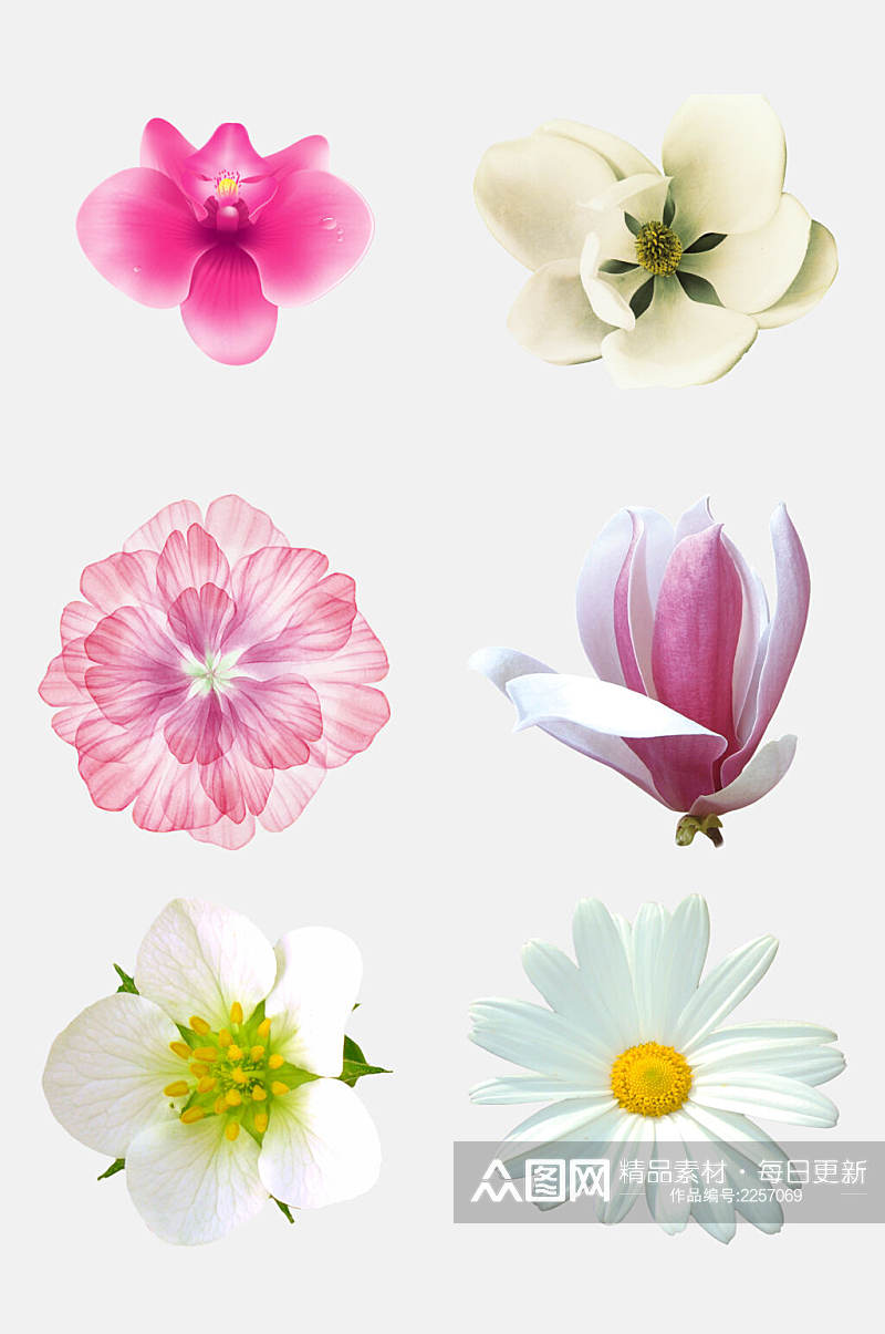 水彩唯美手绘花卉花朵植物免抠素材素材