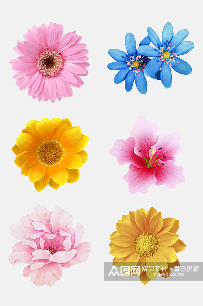 水彩唯美手绘花朵植物免抠素材素材