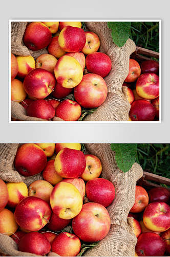 新鲜苹果水果图片