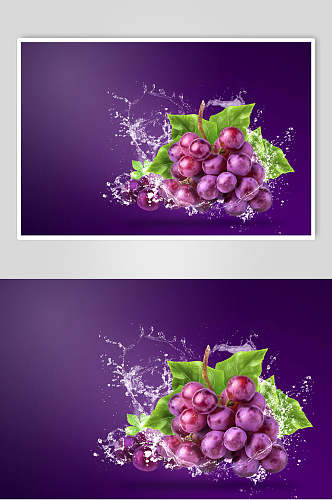 紫色葡萄水果食物摄影图片