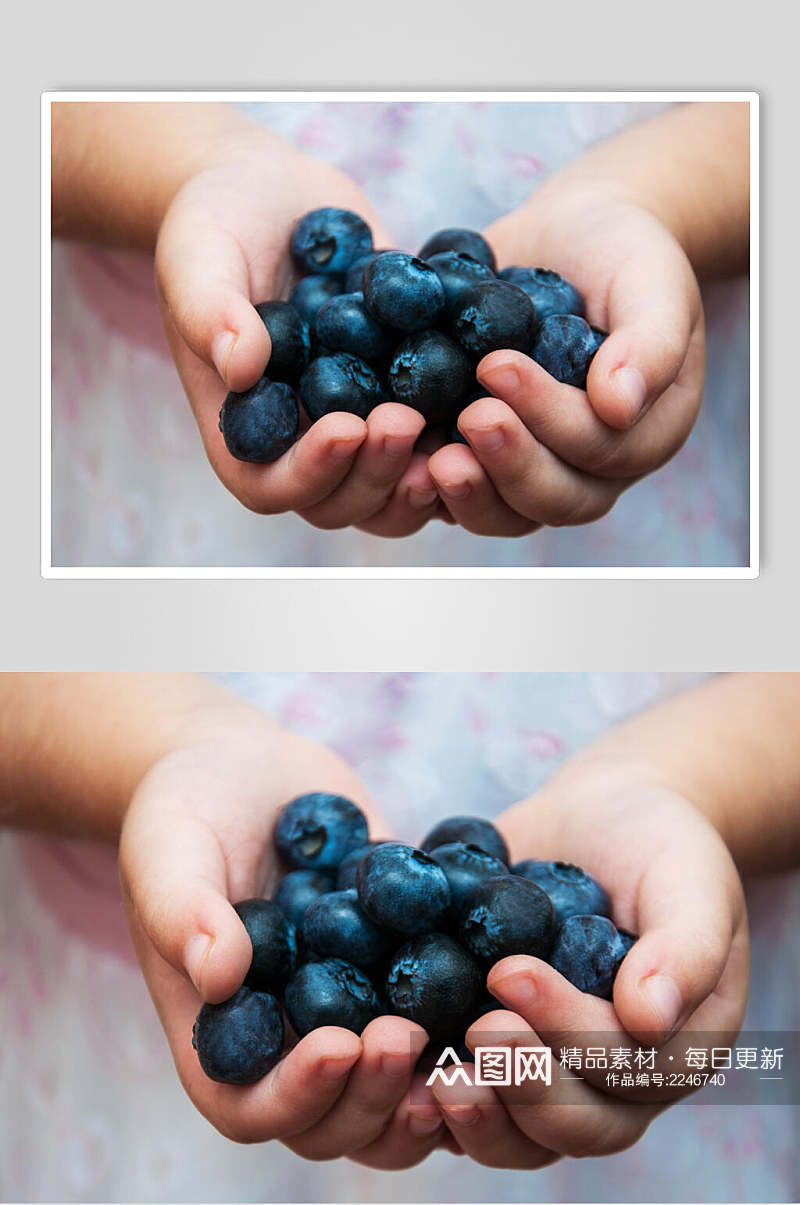 手捧蓝莓水果食品摄影图片素材