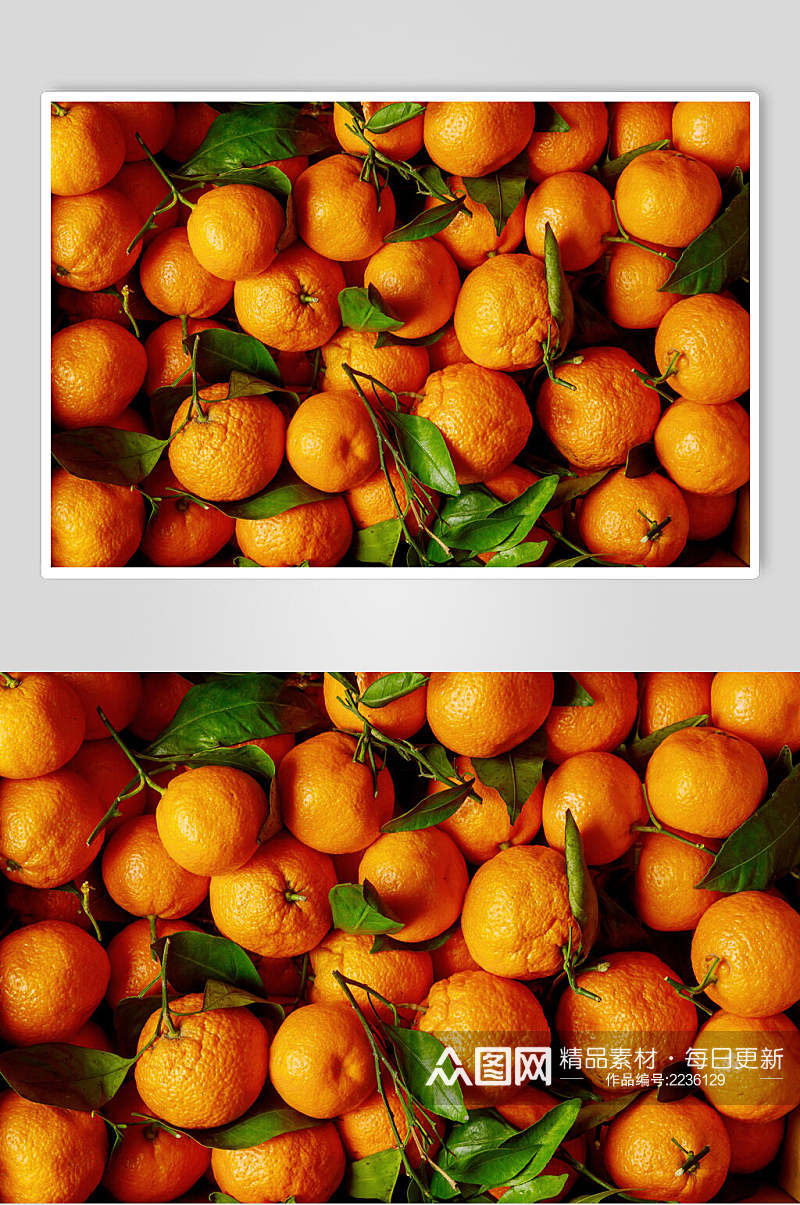 新鲜美味丑橘水果图片素材
