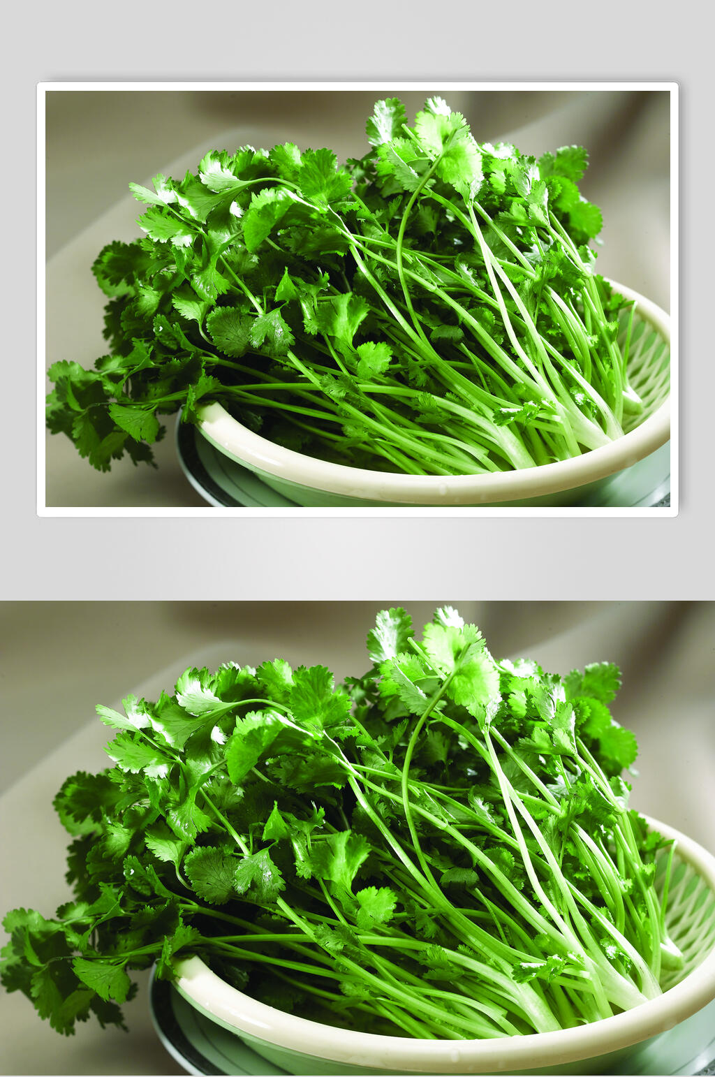 芫茜食物摄影图片素材