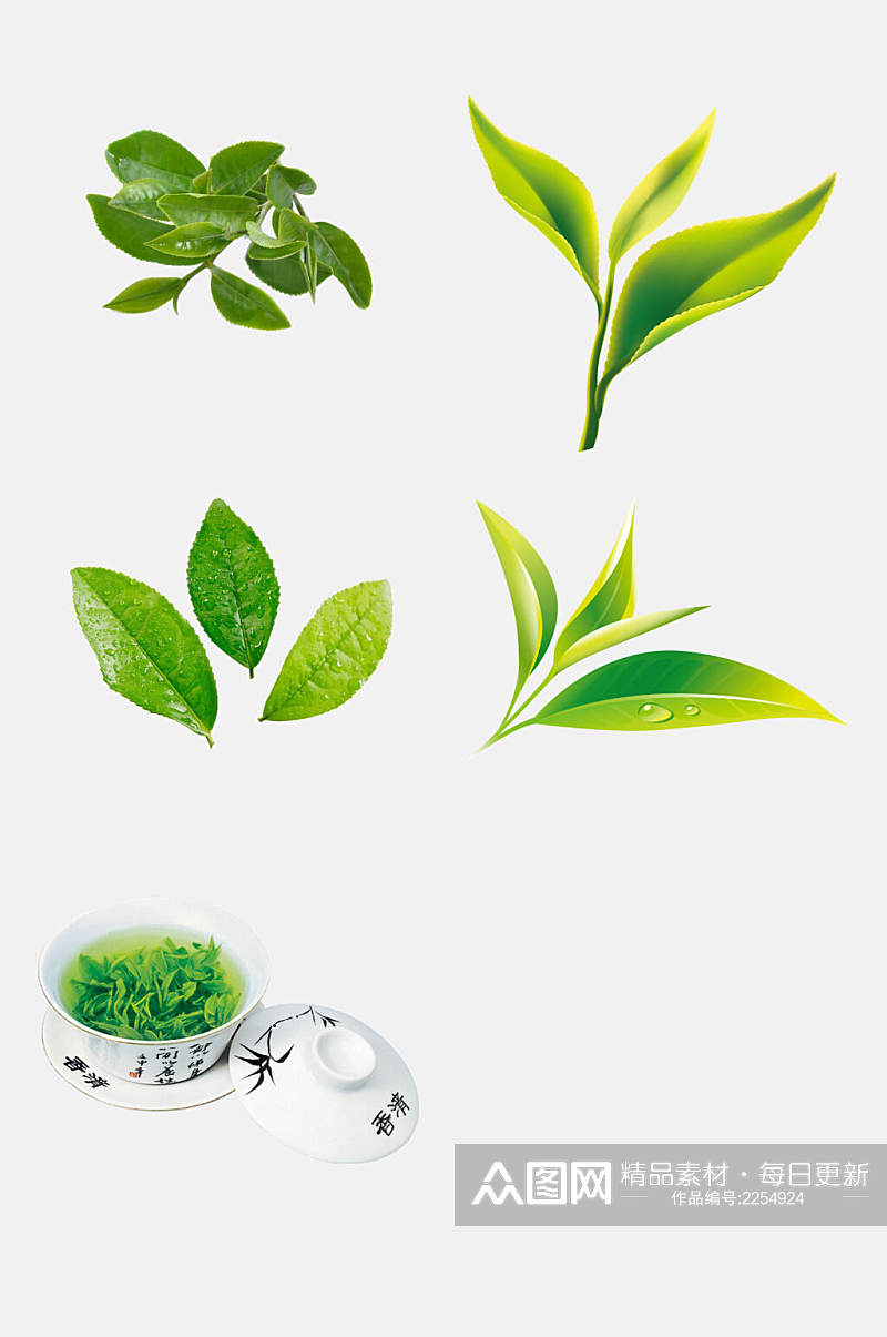 水彩茶叶新茶绿茶免抠素材素材
