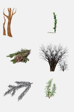 简洁树木花卉植物树枝免抠元素