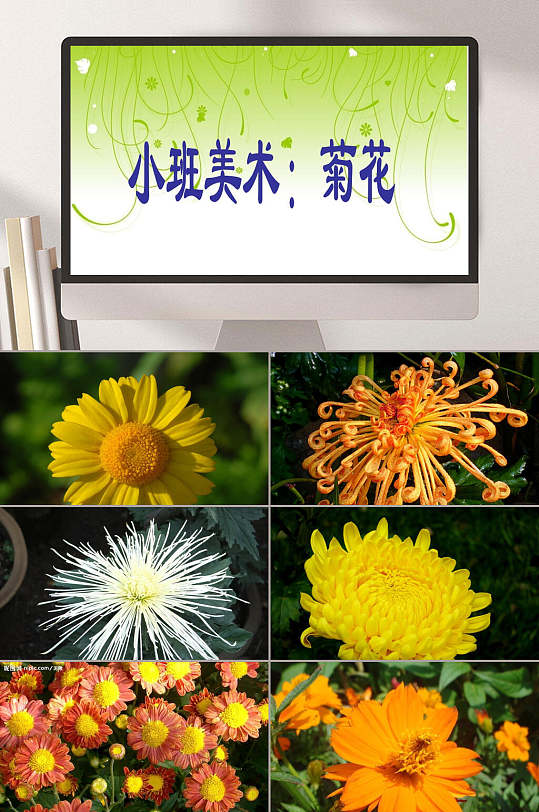 美术菊花幼儿园教学课件ppt