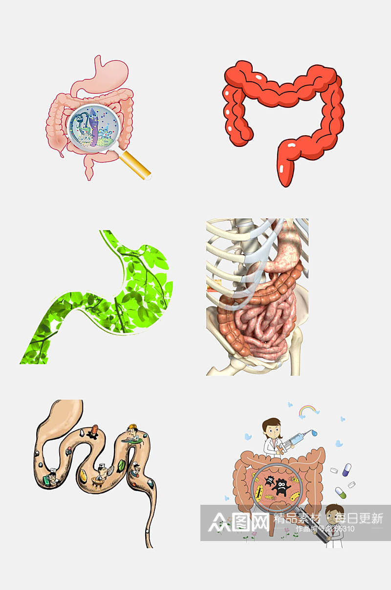 清新大气医学肠道消化系统免抠素材素材