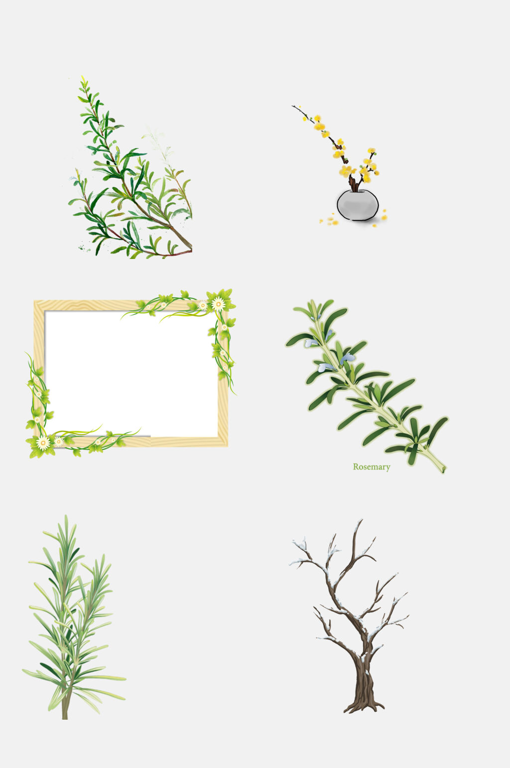 清新绿色树木植物树枝免抠元素素材