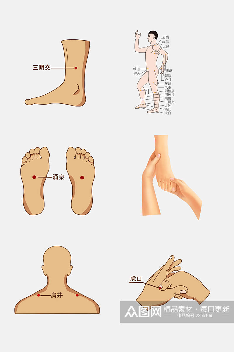 简洁大气中医人体经络穴位免抠素材素材