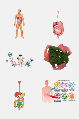 清新医学肠道消化系统免抠素材
