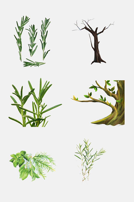 绿色叶子树木植物树枝免抠元素