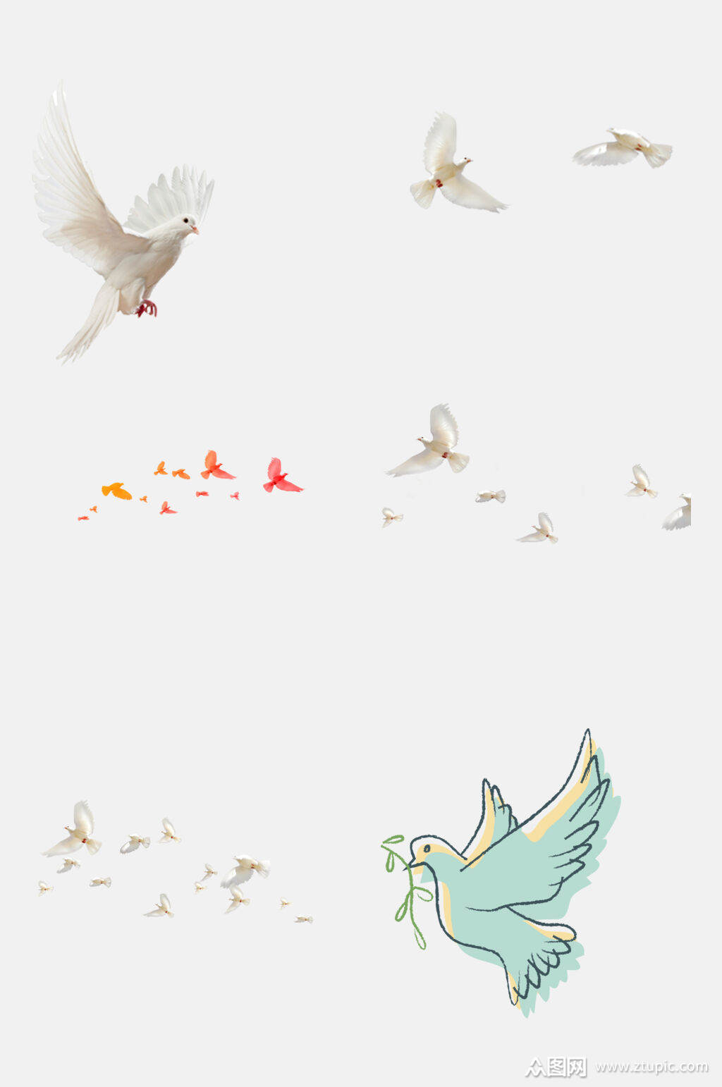 水彩白鸽免抠元素素材