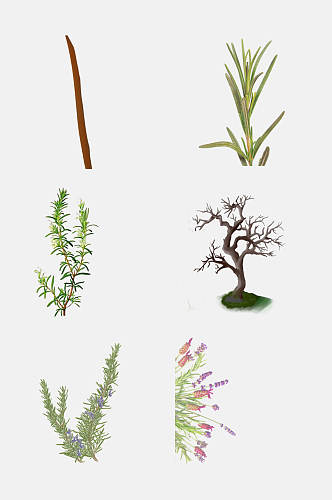树木花卉植物树枝免抠元素