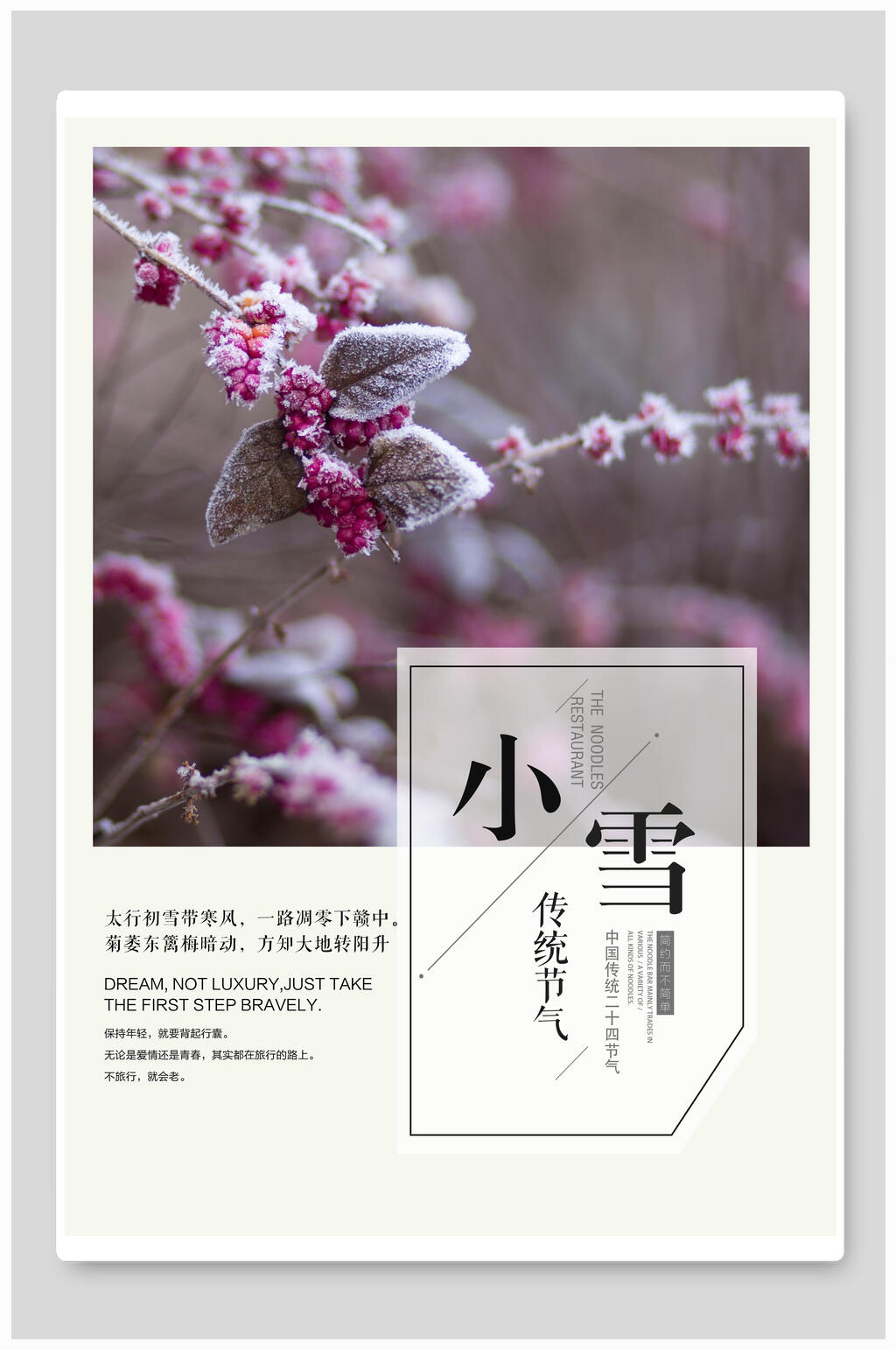 冬季果实小雪节气海报素材