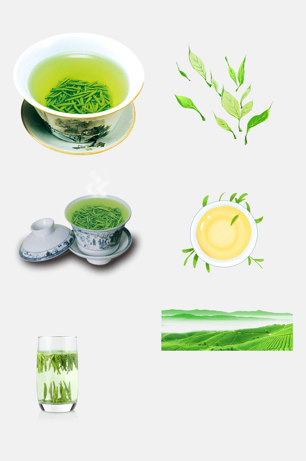 品质好茶茶叶新茶绿茶免抠素材素材