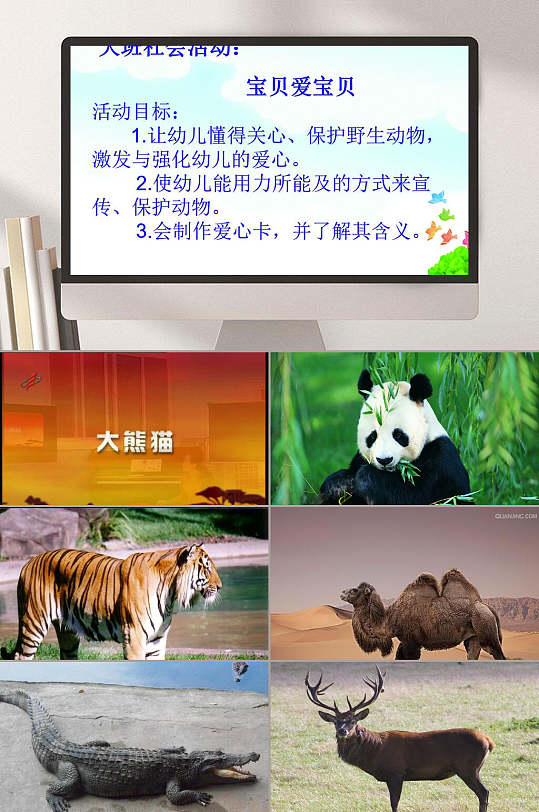 大班社会活动爱护动物幼儿园教学课件ppt