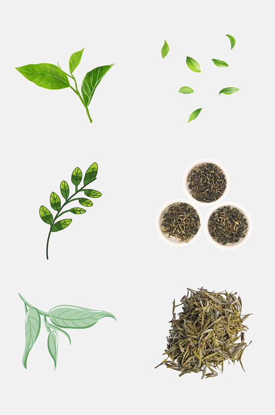 品质茶叶叶子茶叶新茶绿茶免抠素材