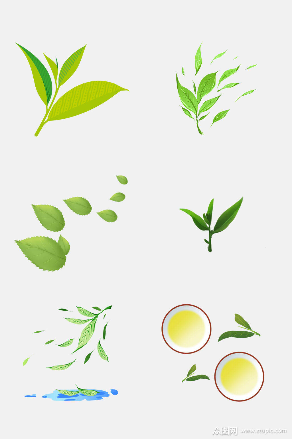 清新水彩茶叶新茶绿茶免抠素材