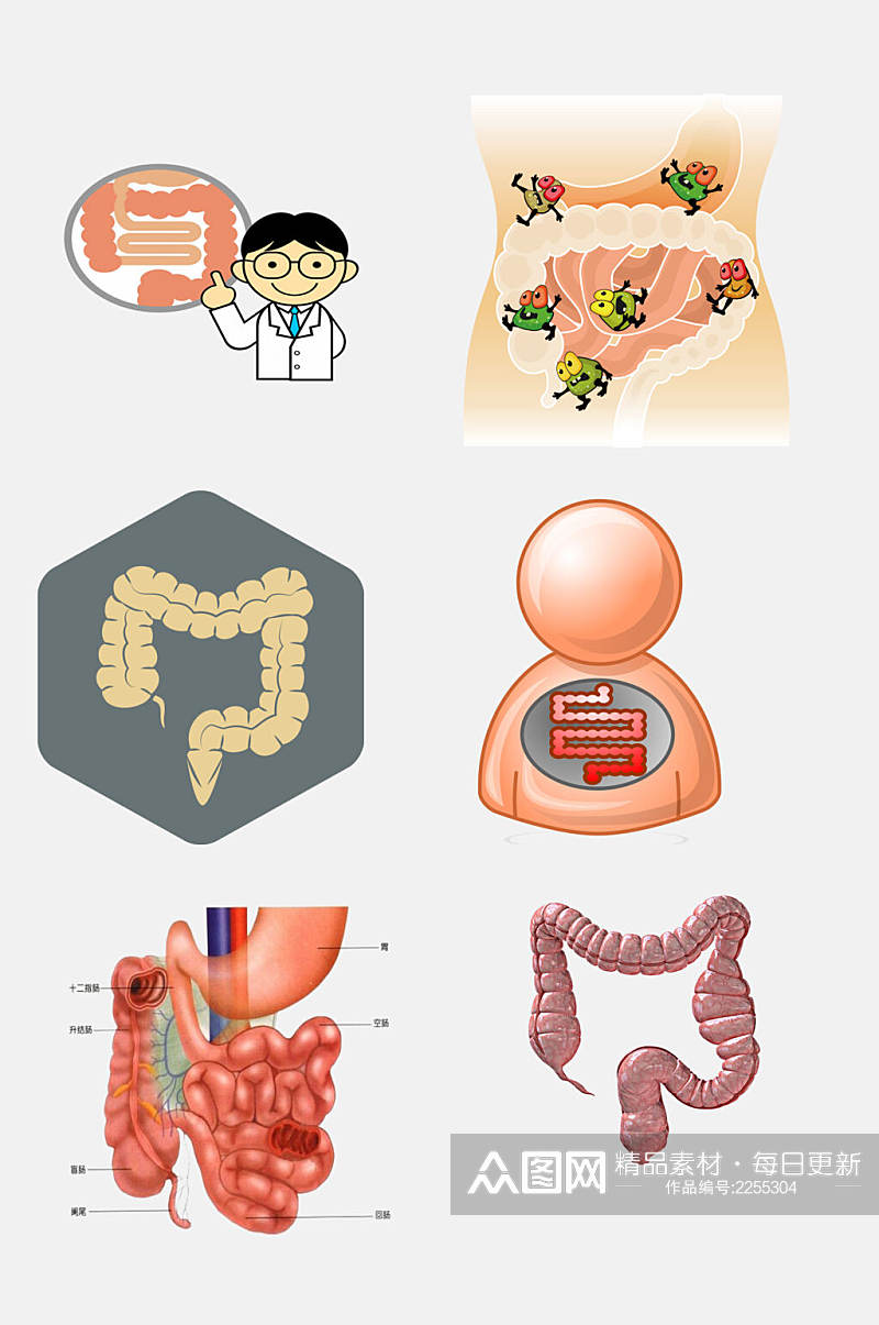 医生医学肠道消化系统免抠素材素材