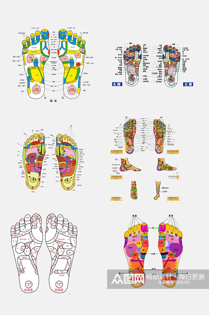 手绘中医人体经络穴位免抠素材素材