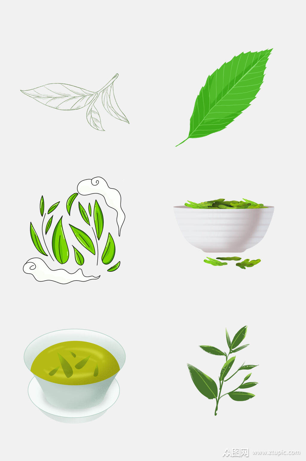 茶叶新茶绿茶免抠素材手绘素材