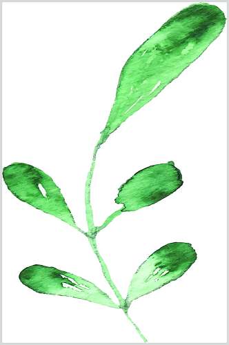 时尚手绘植物绿叶叶子素材