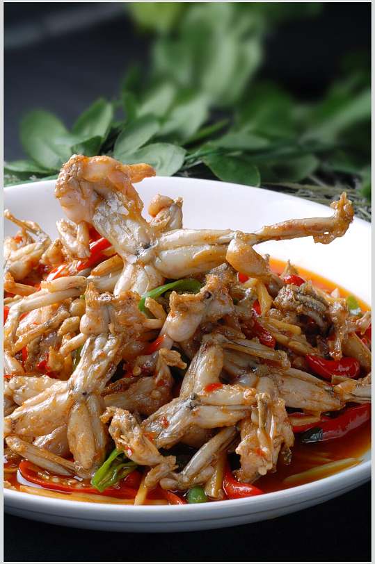 仔姜美蛙美食图片