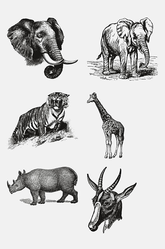 野生动物大象犀牛昆虫手绘免抠元素