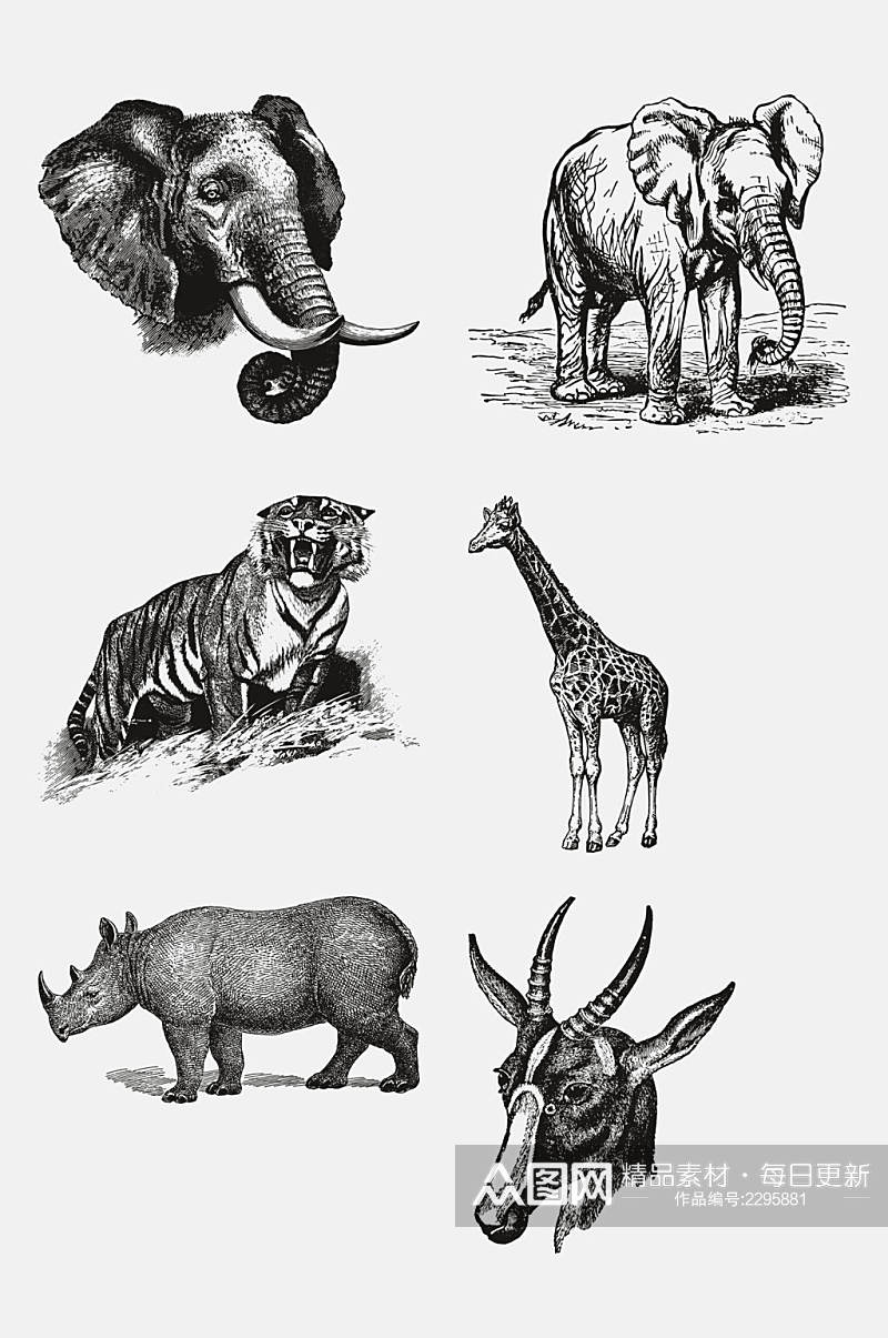 野生动物大象犀牛昆虫手绘免抠元素素材