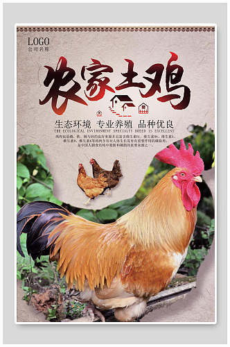 生态环境农家土鸡美食海报