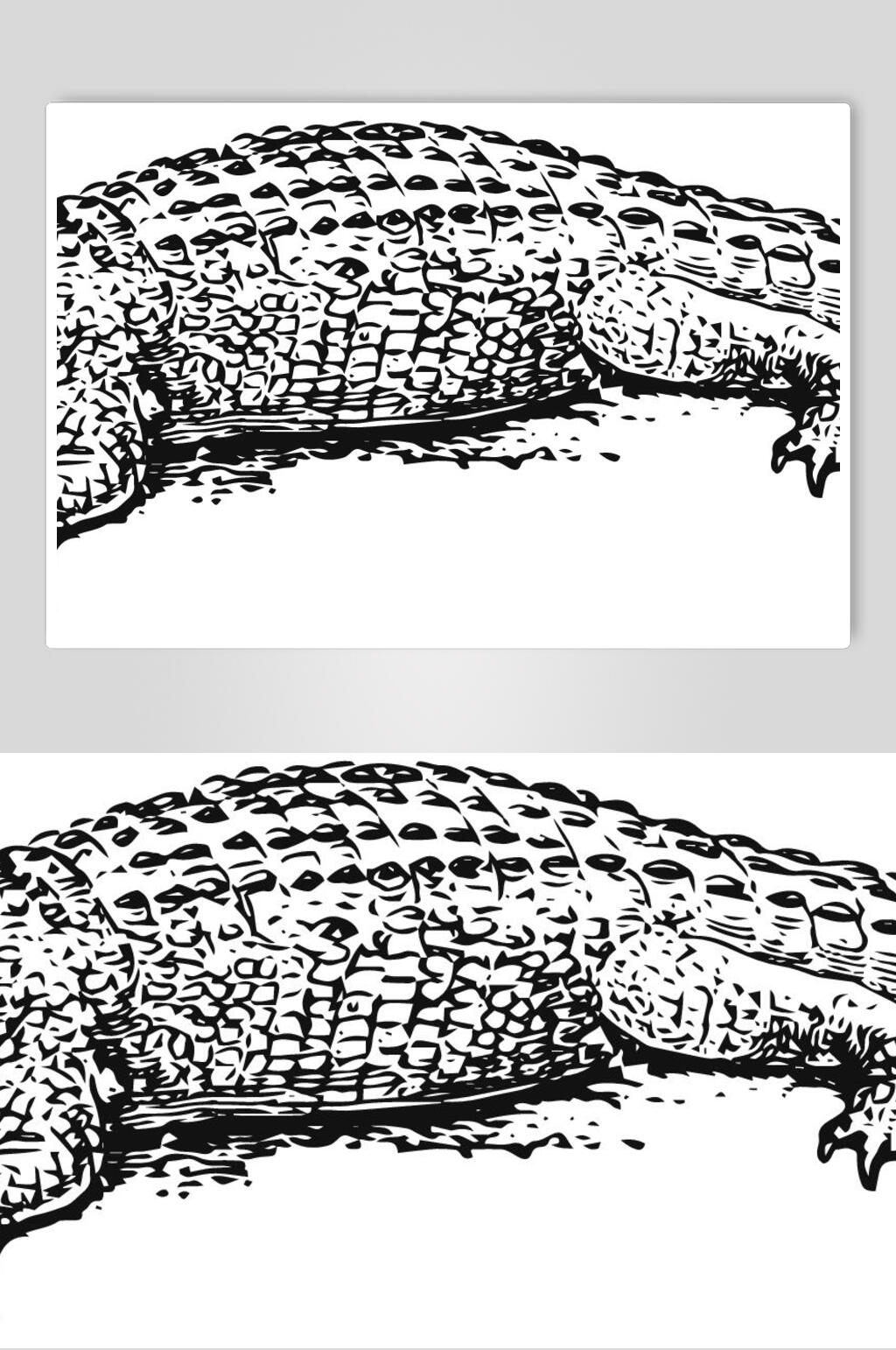 鳄鱼野生动物昆虫手绘素材