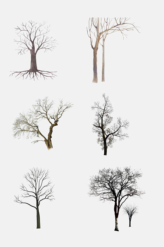 简洁树木树枝树干免抠元素