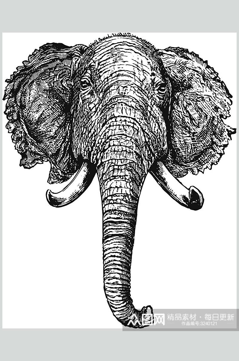 大象野生动物昆虫手绘素材素材