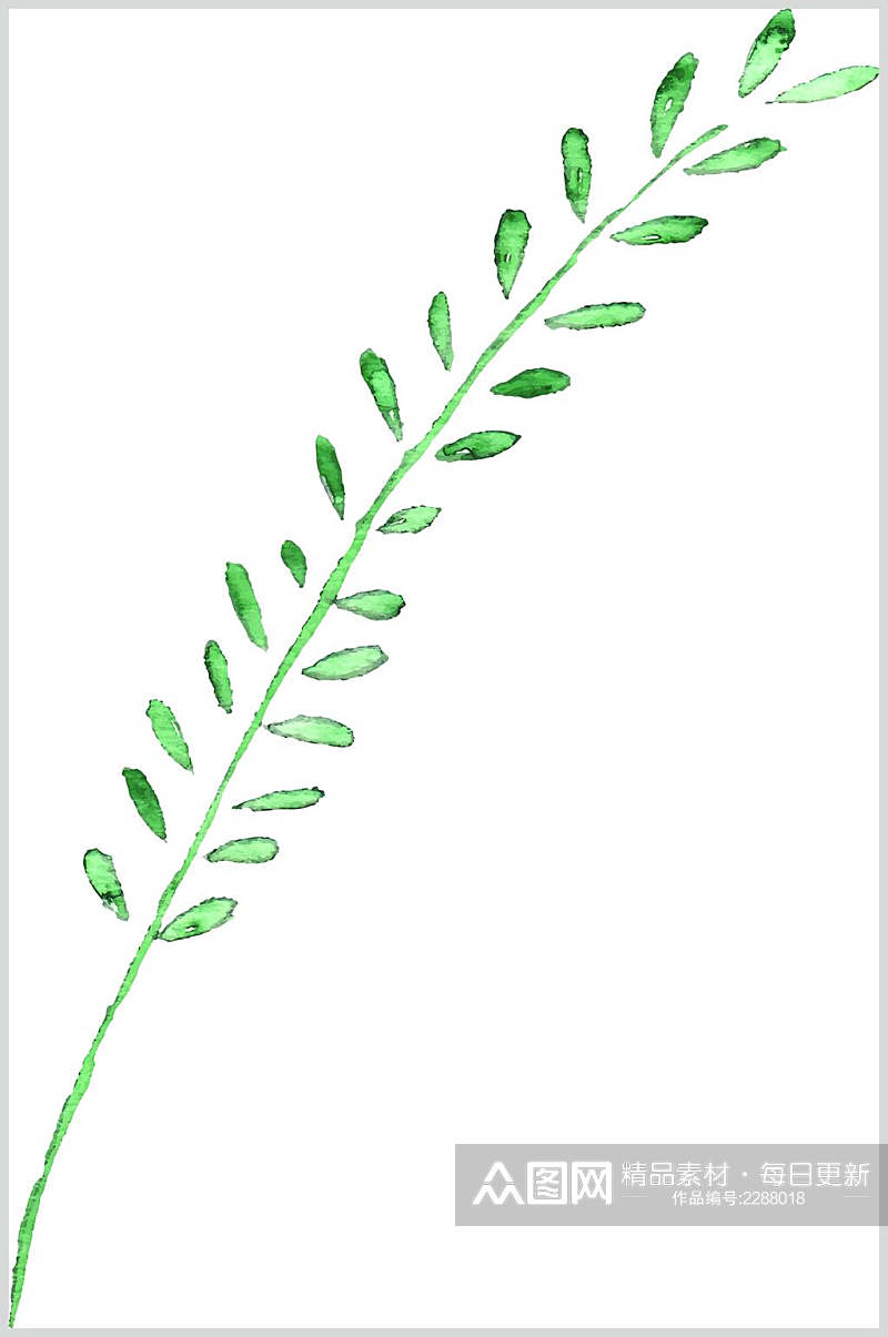 时尚白底手绘植物绿叶叶子素材素材